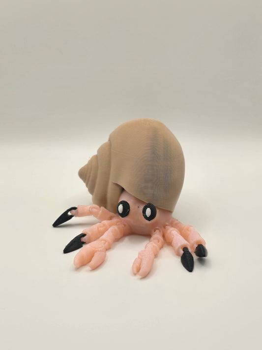 Hermit Crab