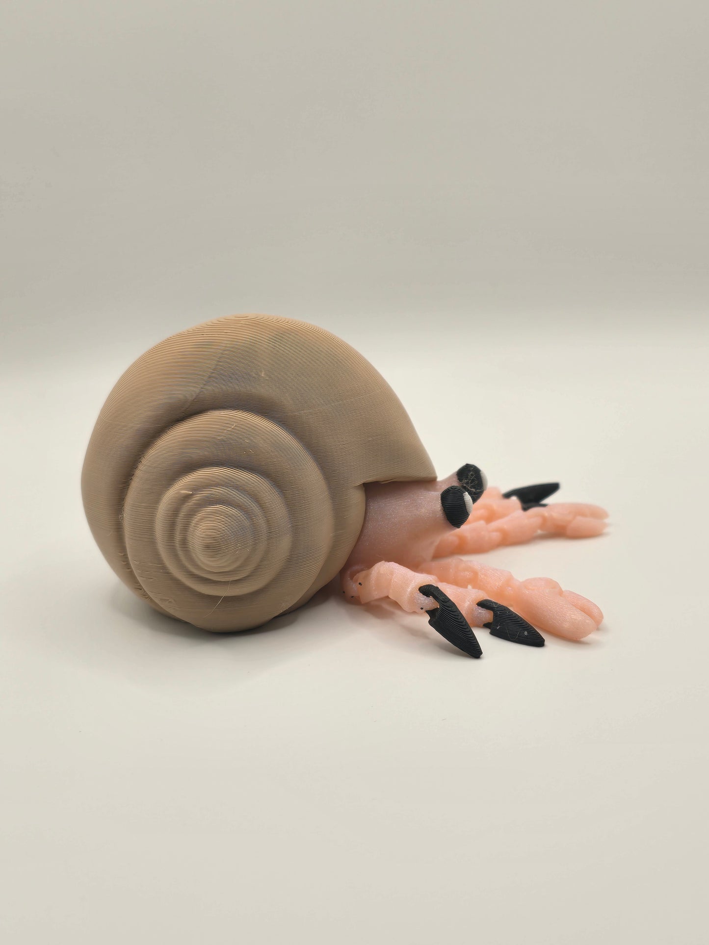 Hermit Crab