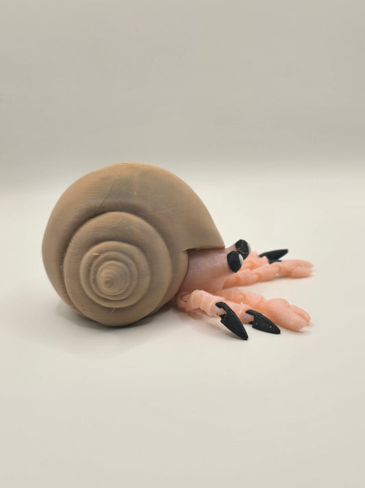 Hermit Crab